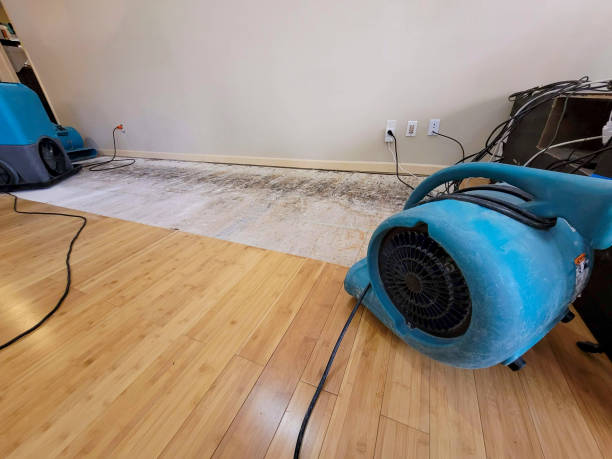 Professional Flood Damage Cleanup technician working in House Springs, MO